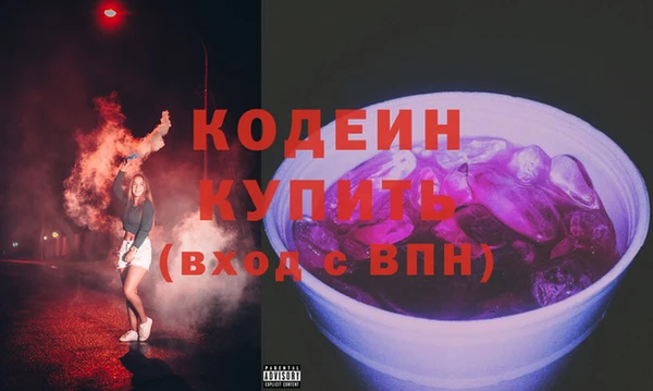 шишки Надым