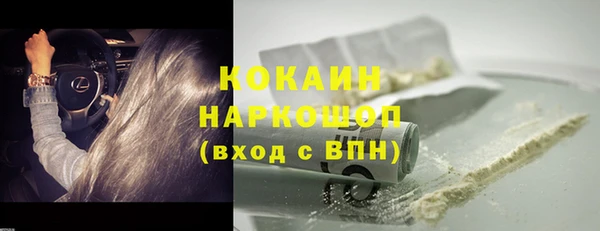 шишки Надым