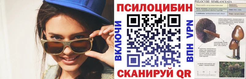 где купить наркоту  Чистополь  Псилоцибиновые грибы Psilocybe 