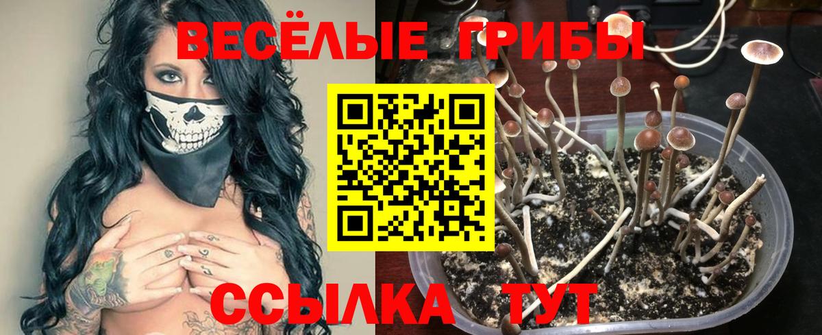 Галлюциногенные грибы MAGIC MUSHROOMS Чистополь