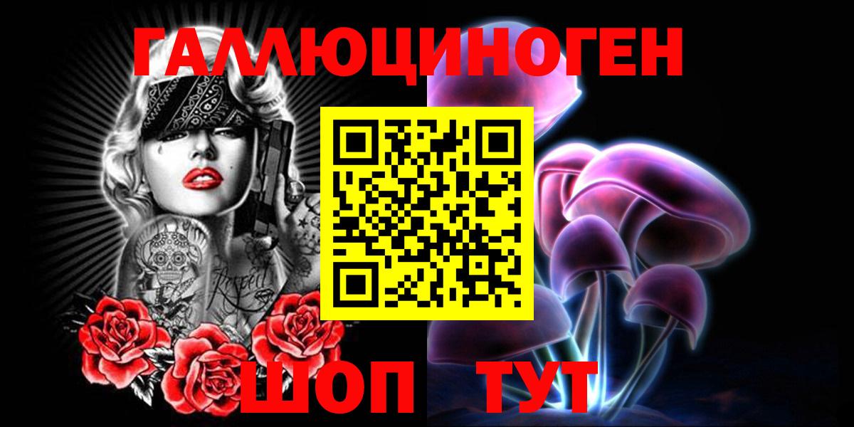 Псилоцибиновые грибы Psilocybe Чистополь