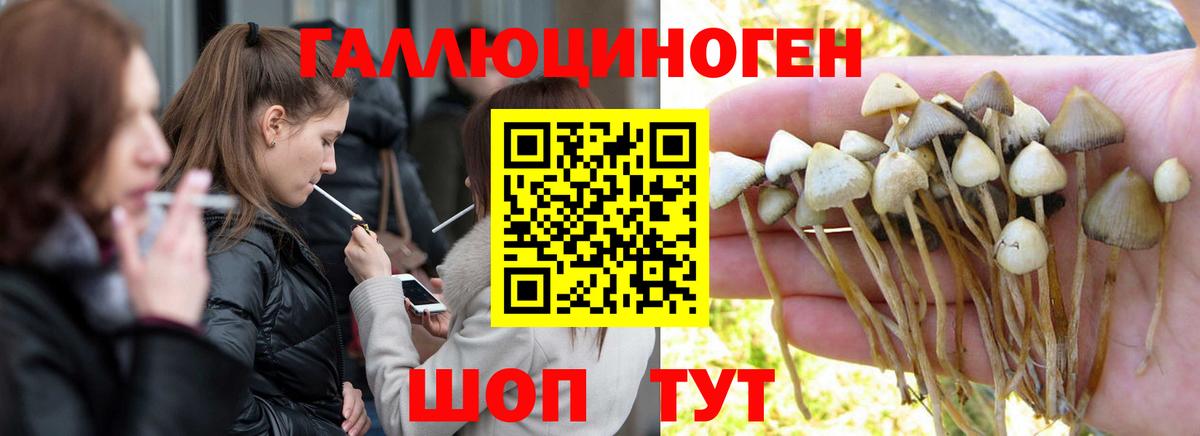 Чистополь  Галлюциногенные грибы Magic Shrooms  что такое наркотик  Вход с VPN 